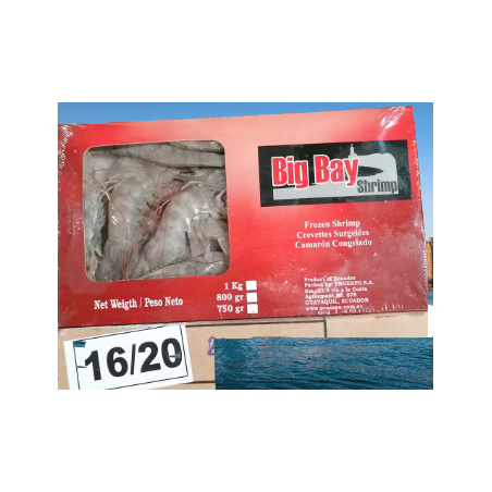 Crevetten 16/20 Equador 